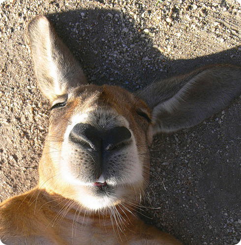 Илья Пятков