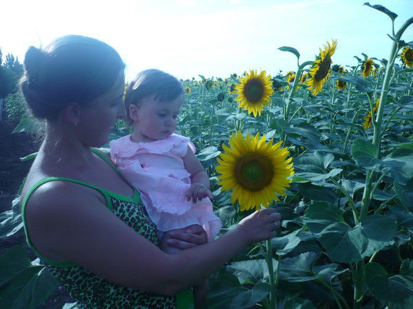 Наталья Золотова