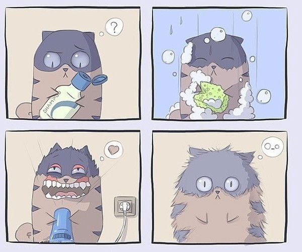 Саня Топильский