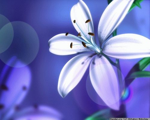 Катерина Ермилова