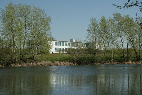 Школа *************