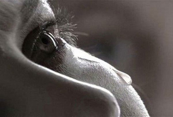 Алефтина Валентина