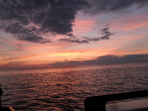 Ольга Грюнвальд