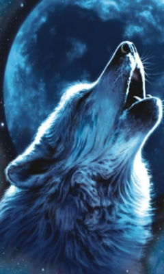 Адлан Дадаев