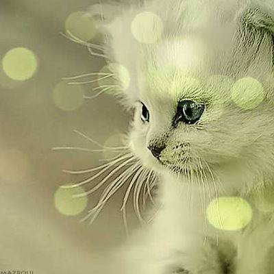 Мария Кохно