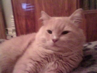 Александр Жижин