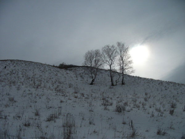 Виктор Андреянов