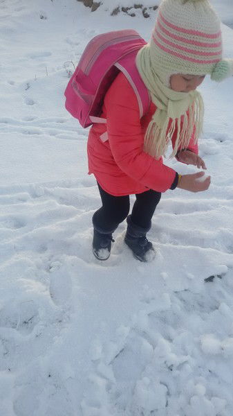 Мереке Ержанкызы