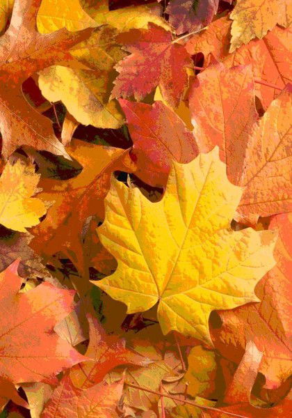 Кпнди Приемная