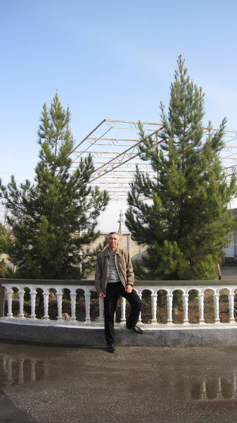 Абдулхаким Хабибов