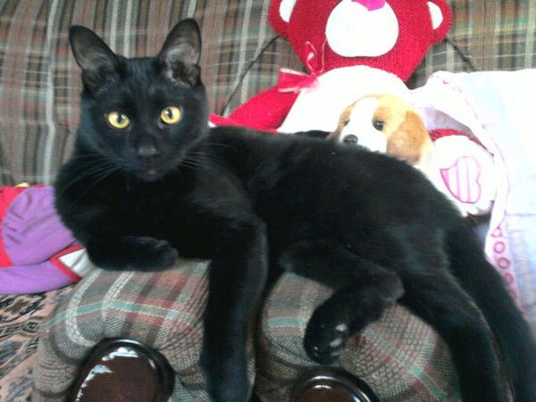 Александр Пантера