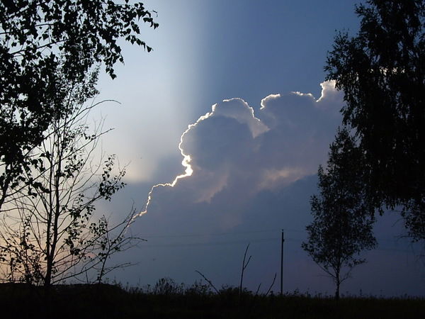 Наталья Худякова