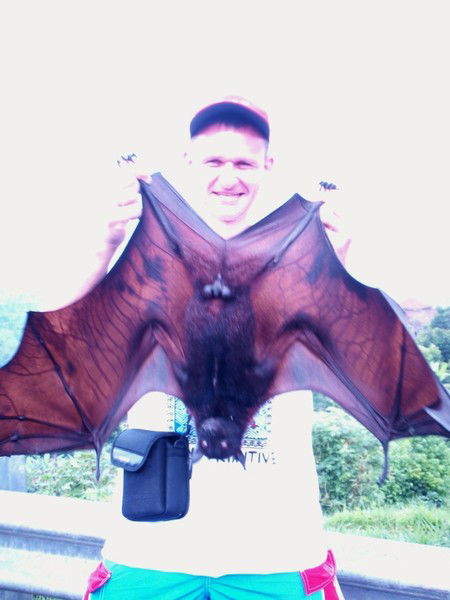 Анатолий К****