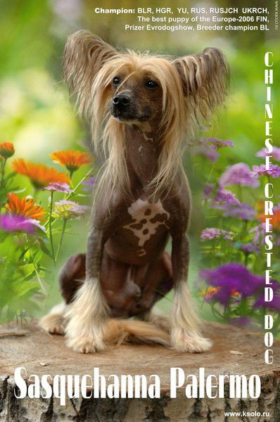 Евгений Евдокимов