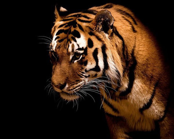 Леонид Набоких