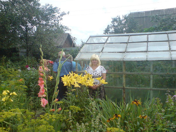 Нина Наволоцкая