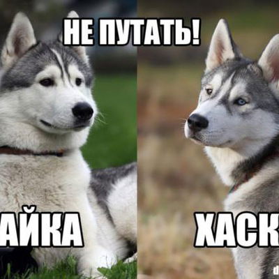 Миша Мельников