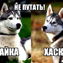 Миша Мельников