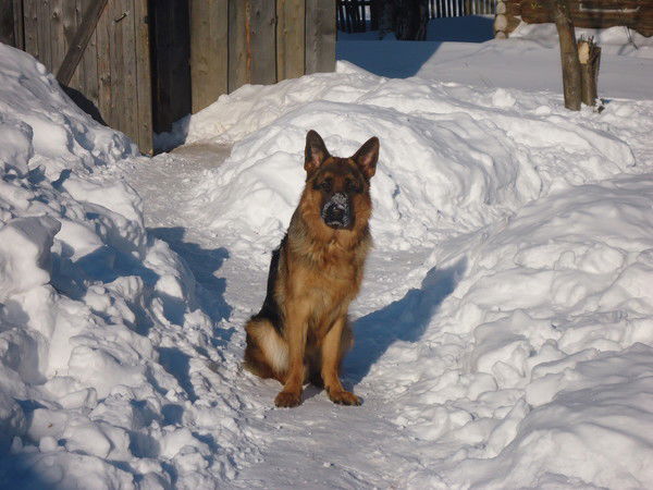 Павел Рухлов