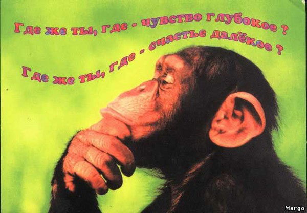 Алекс Шульц