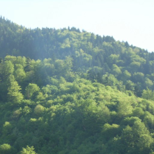 Татьяна Павлова