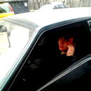 Саша Афанасьев