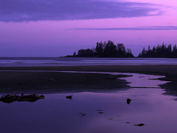 Лидия **********