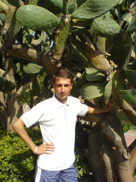 Александр Баландин