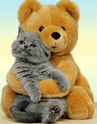 Светлана Ник