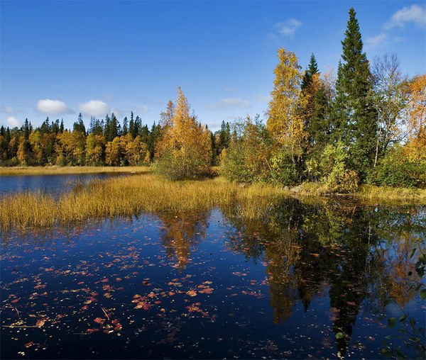 Сергей Андреев