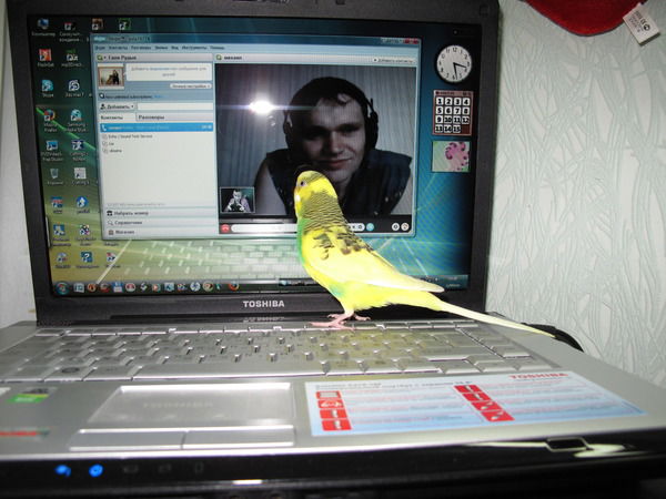 Михаил Ревин