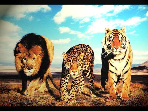 Валентина Пермякова