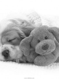 Инна Кловак