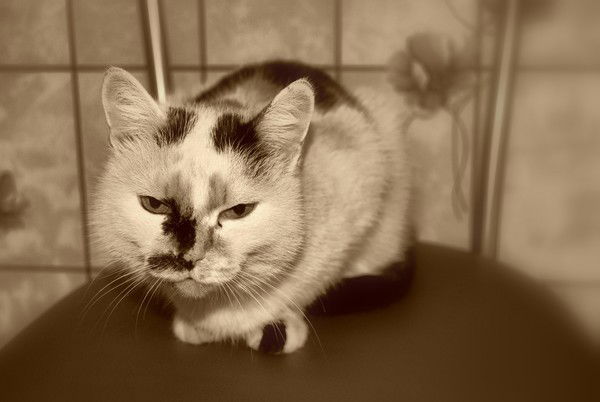 Татьяна Полынцева