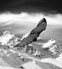 Турар Достемесов