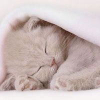 Таисия Ткаченко