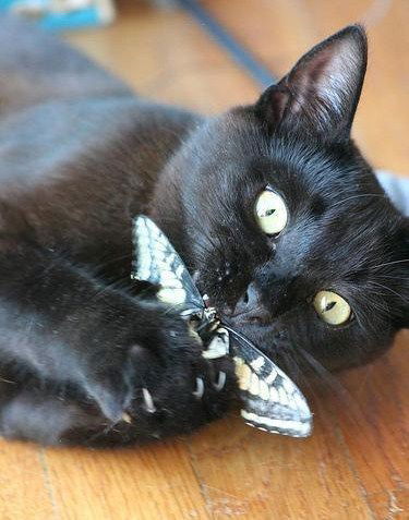 Татьяна Мухина