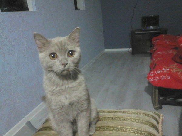 Галина Иванова