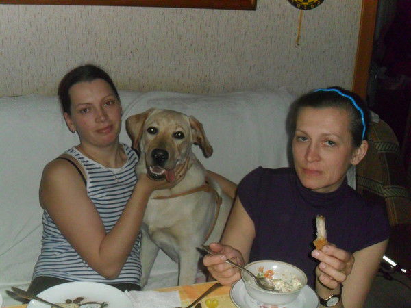 Елена Шестакова