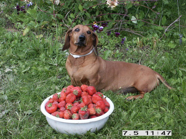 Игорь Цыпин