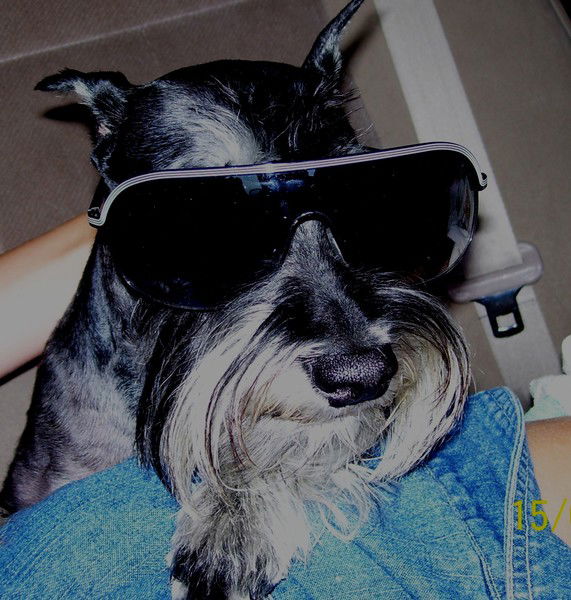 Наталья Перевалова