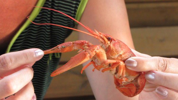 Светлана Черкасова