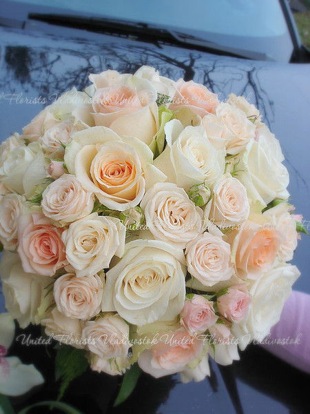 Ольга Медведева