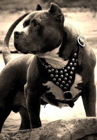 Маша Макшанова