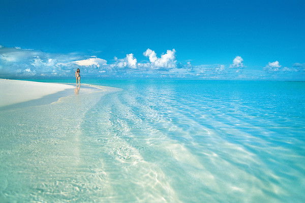 Диана Кадырова