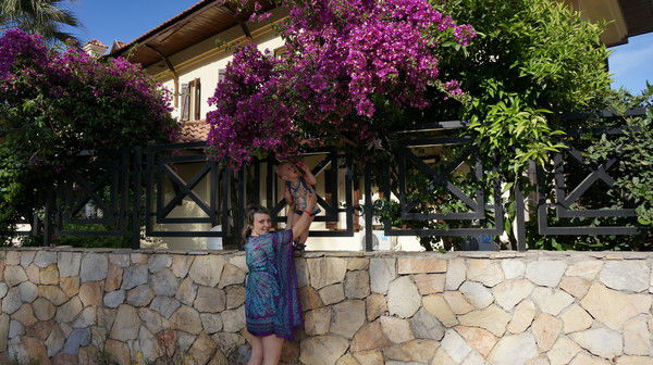 Нинель Ольховская