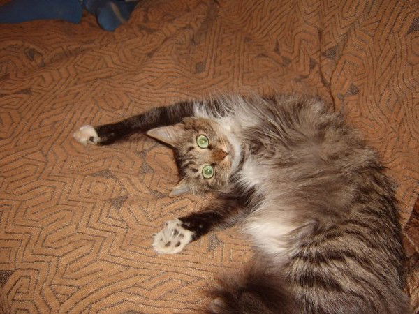 Оксана Дюкова