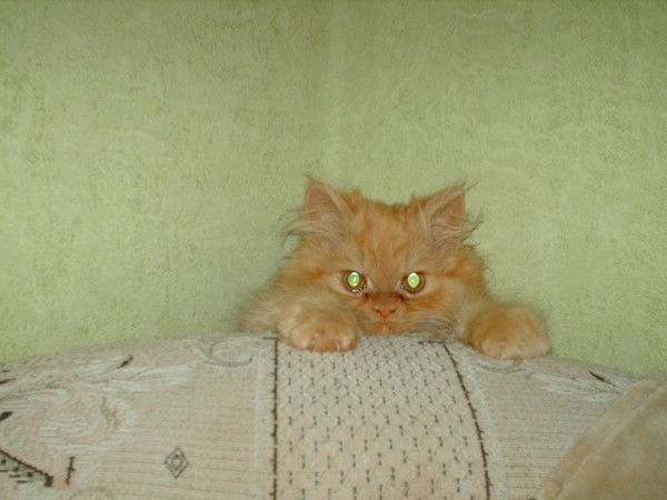 Яков Храбров