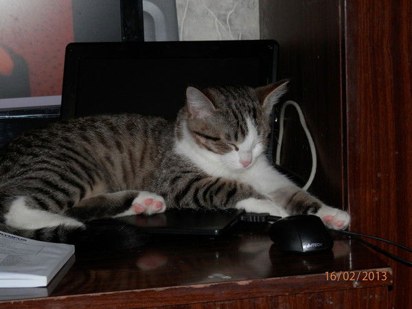 Александр Попов