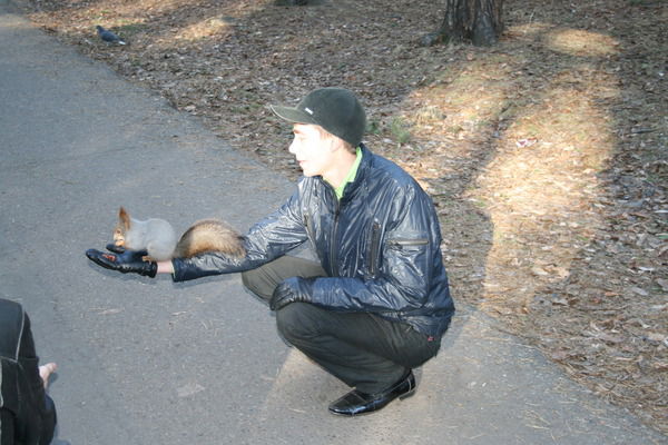 Илья Чередов